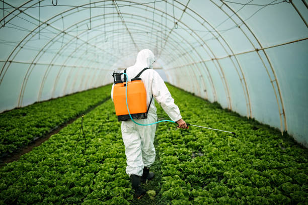 Best Pest Removal Services  in Hot Springs Village, AR