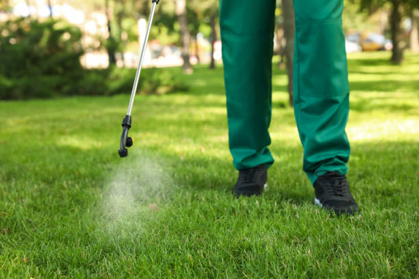 Best Bed Bug Extermination  in Hot Springs Village, AR