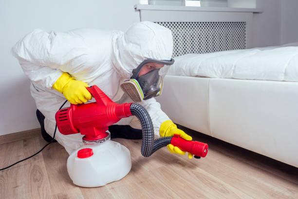 Best Emergency Pest Control  in Hot Springs Village, AR