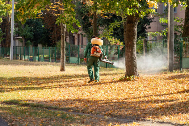 Best Mosquito Control Services  in Hot Springs Village, AR