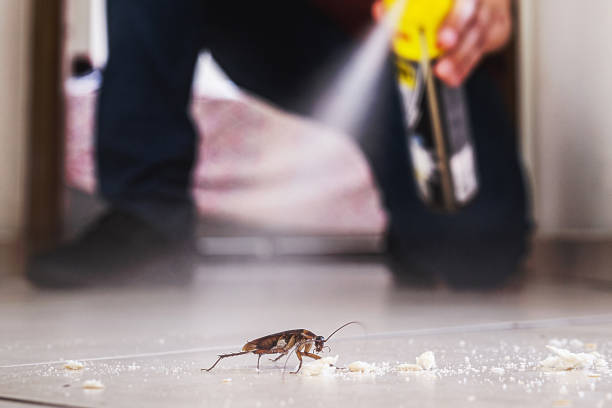Trusted Hot Springs Village, AR Pest Control Experts