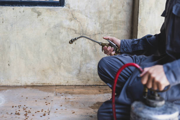 Best Residential Pest Control  in Hot Springs Village, AR